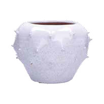 Vaso basso Opuntia - Rituali Domestici
